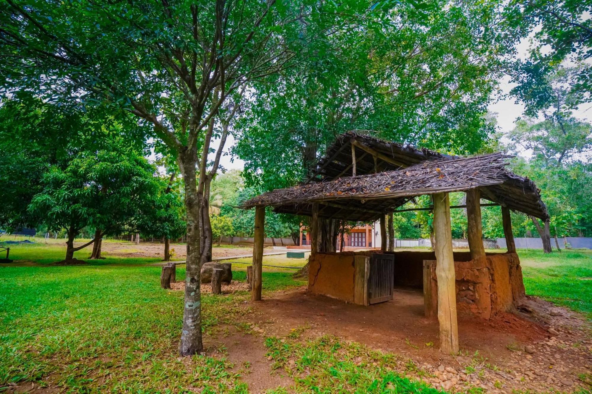Lavendish Wild Safari Hotel 4*